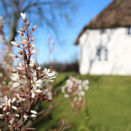 Poppenbuell Thatched House Feriehus Osterhever